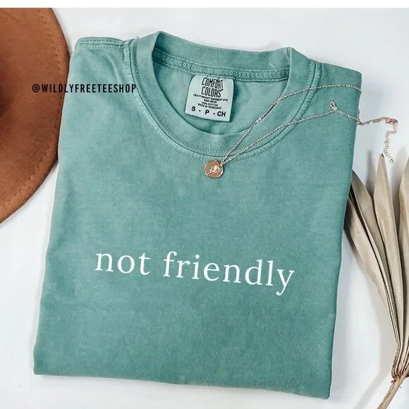 NEW Comfort Colors® Not Friendly Adult Humor Sarcastic Statement Tee Shirt - Picture 1 of 4